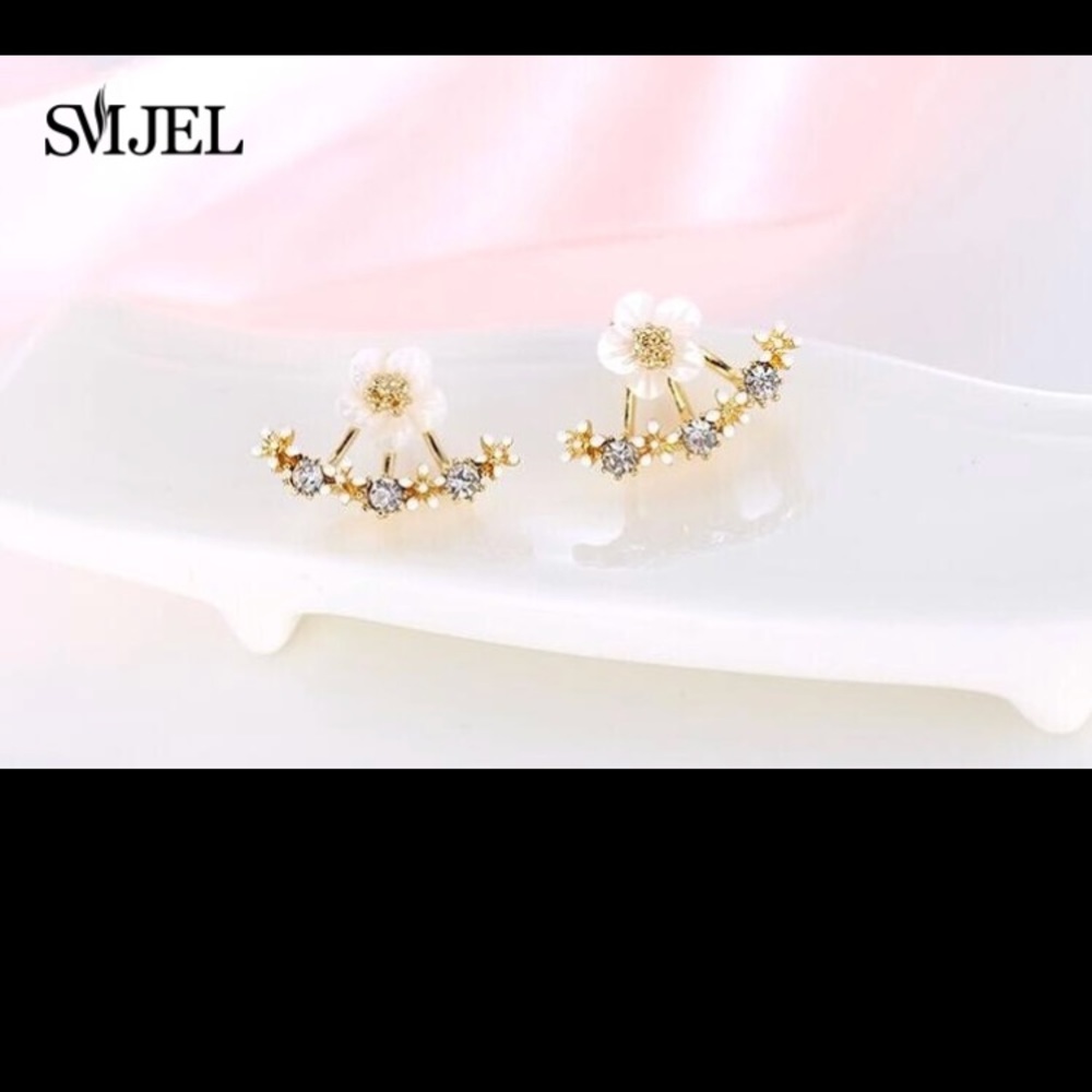 Women Fashion Earrings